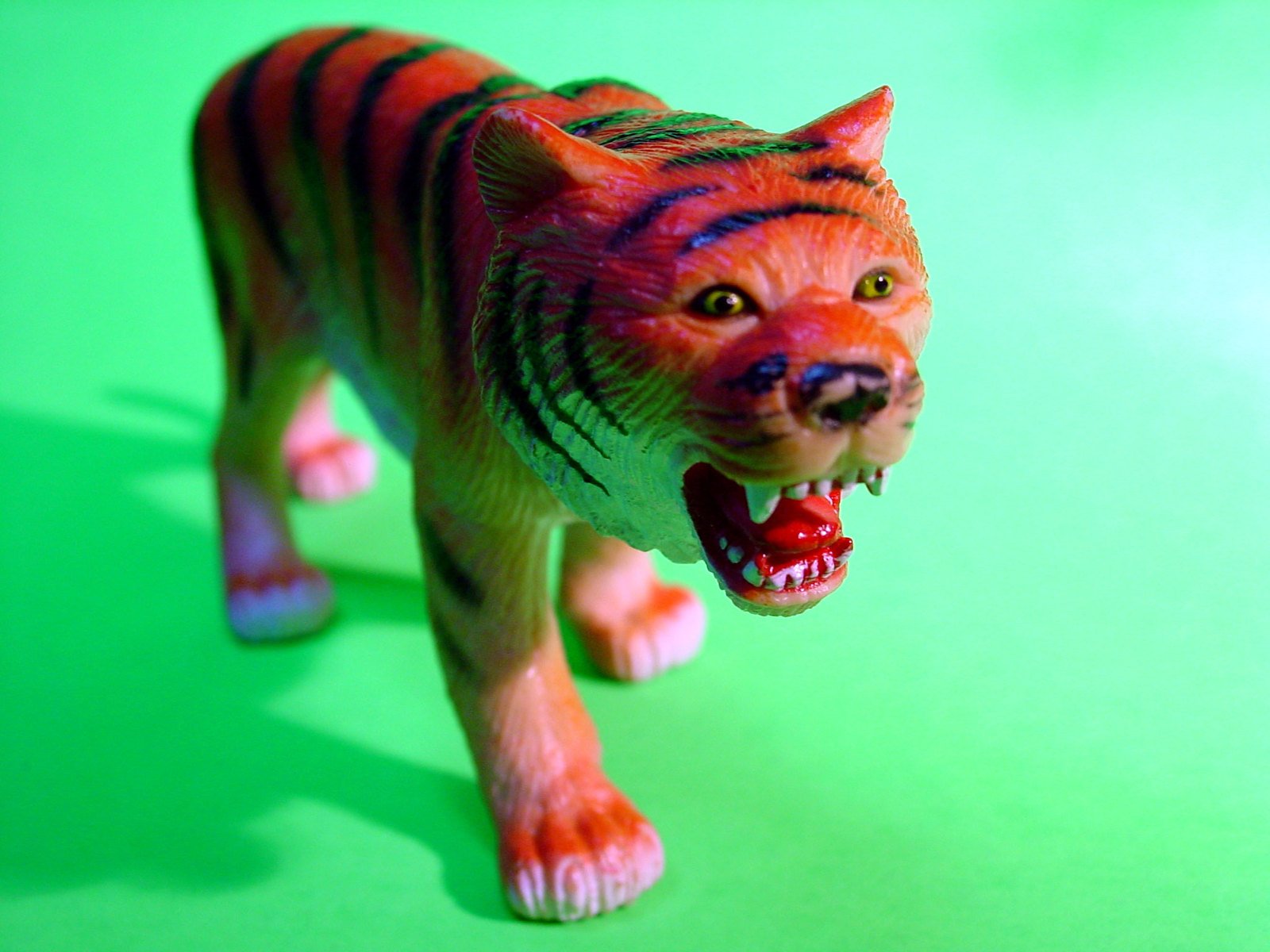 toy tiger